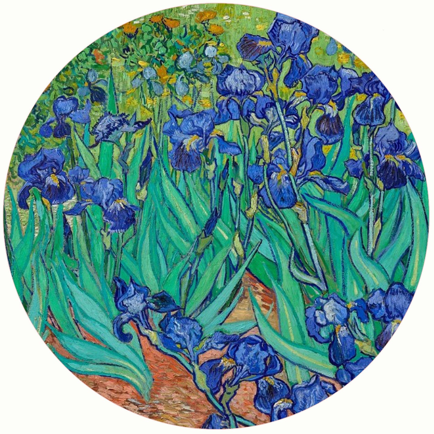 Andreas Jar Opener: Irises