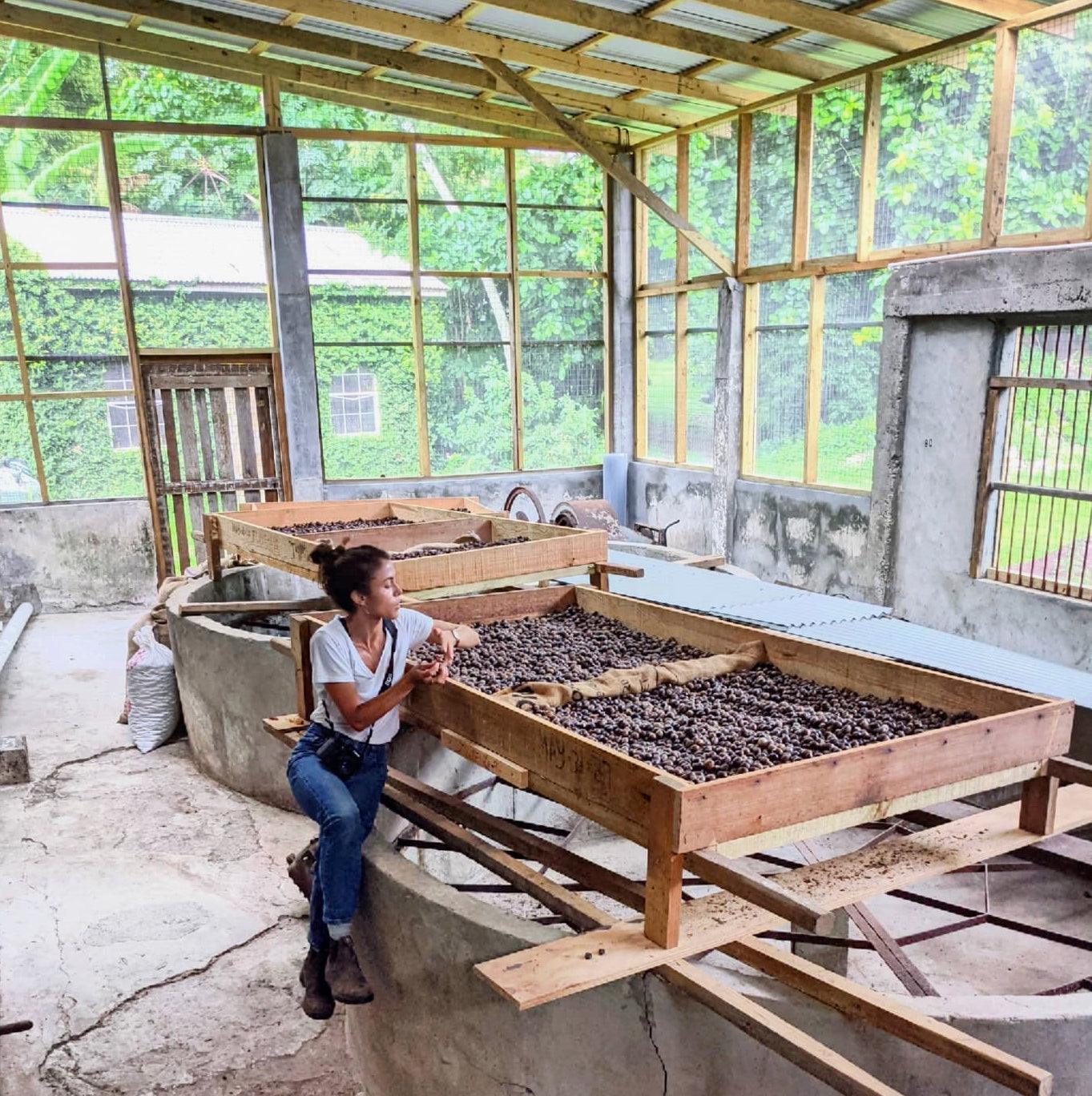 Burlap & Barrel - Grenada Gold Whole Nutmeg