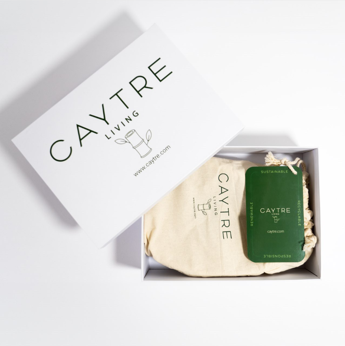 Caytre Living Mango Bowl: Turquoise