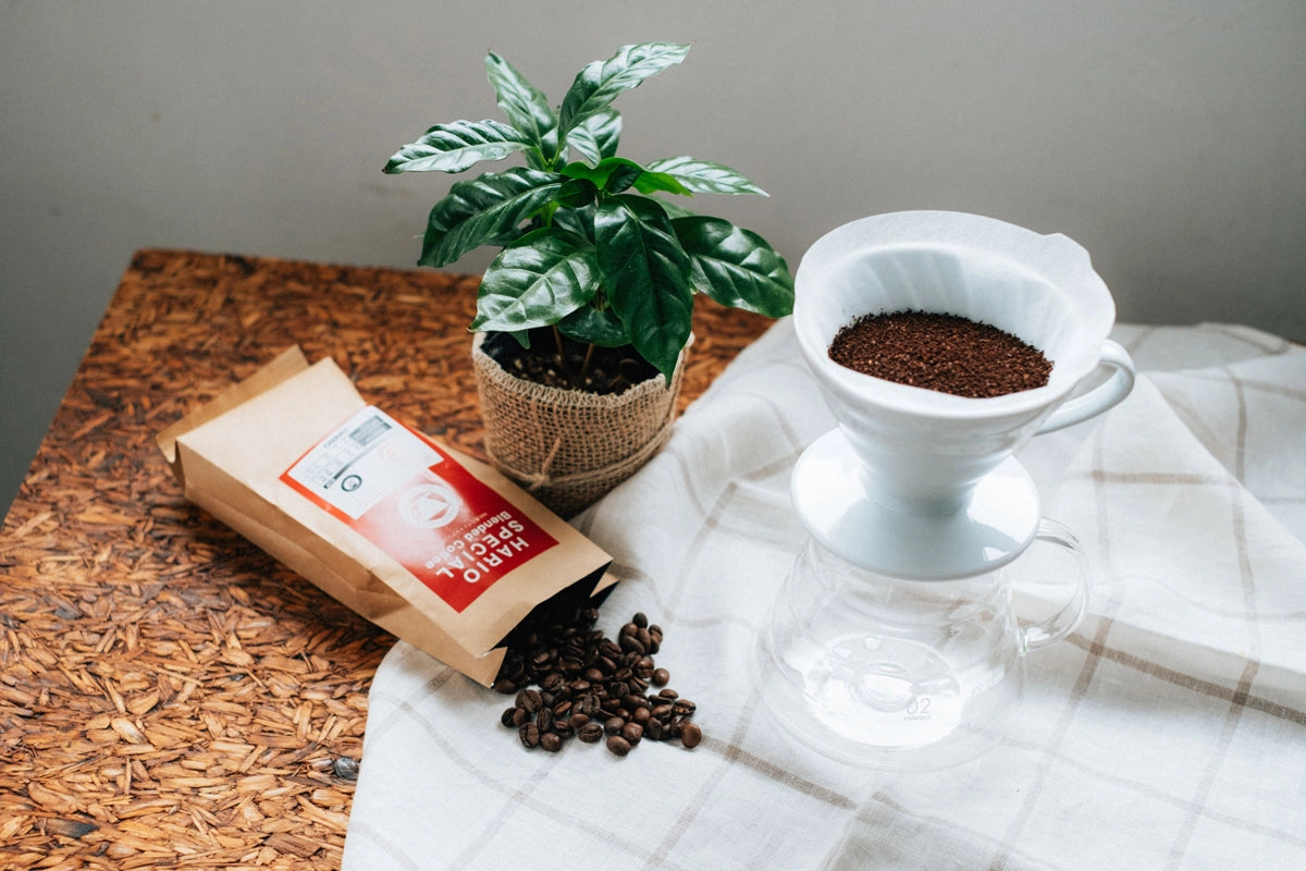 Hario V60 Ceramic Coffee Dripper
