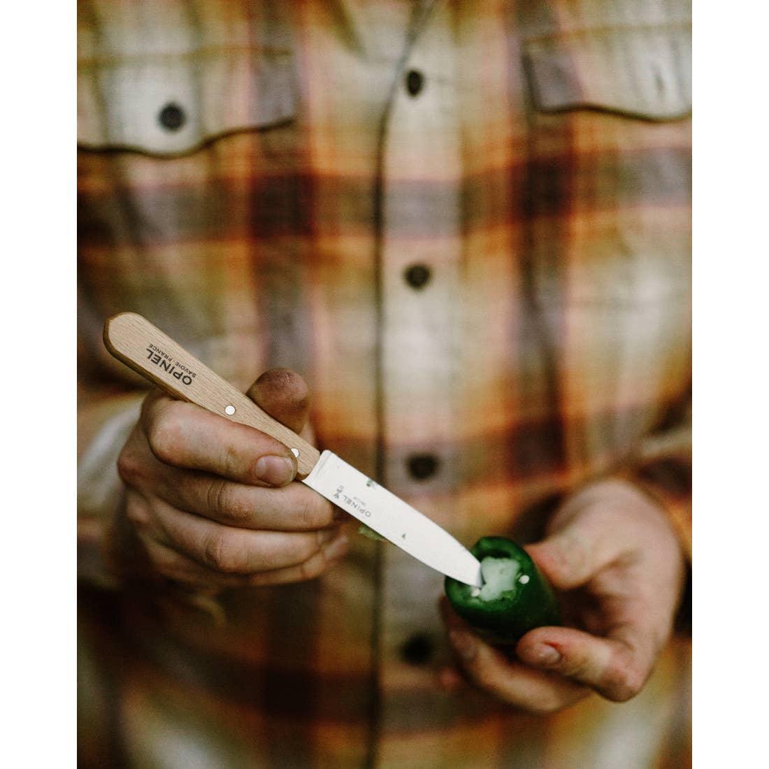 Opinel N°112 Stainless Steel Paring Knives - Set of 2