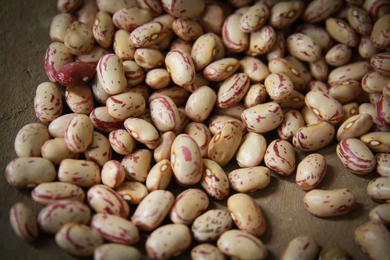 Rancho Gordo Cranberry Beans