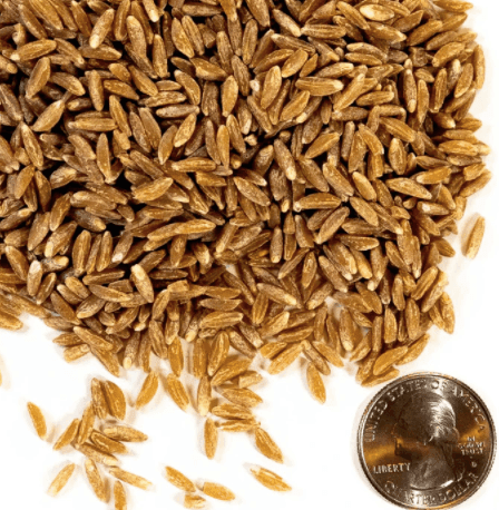 Timeless Foods Semi-pearled Farro, 16oz