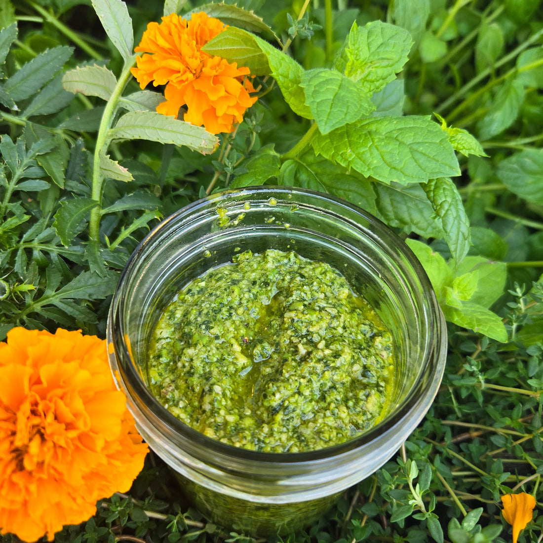 Mint Pea Basil Pesto