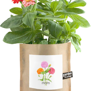 Garden in a Bag: Mom