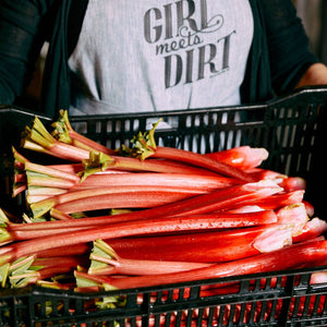 Girl Meets Dirt Rhubarb Lavender Spoon Preserves