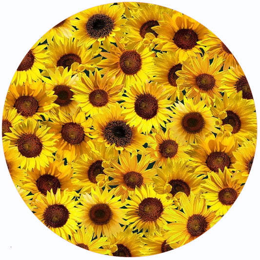 Andreas Jar Opener: Sunflower