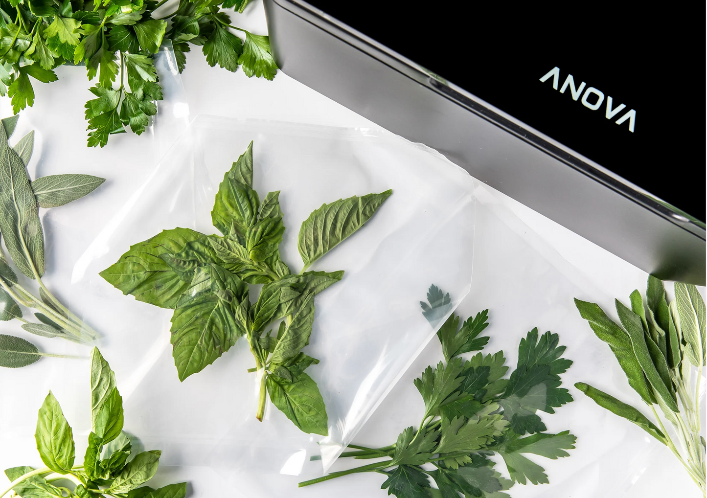 Anova Precision® Chamber Vacuum Sealer