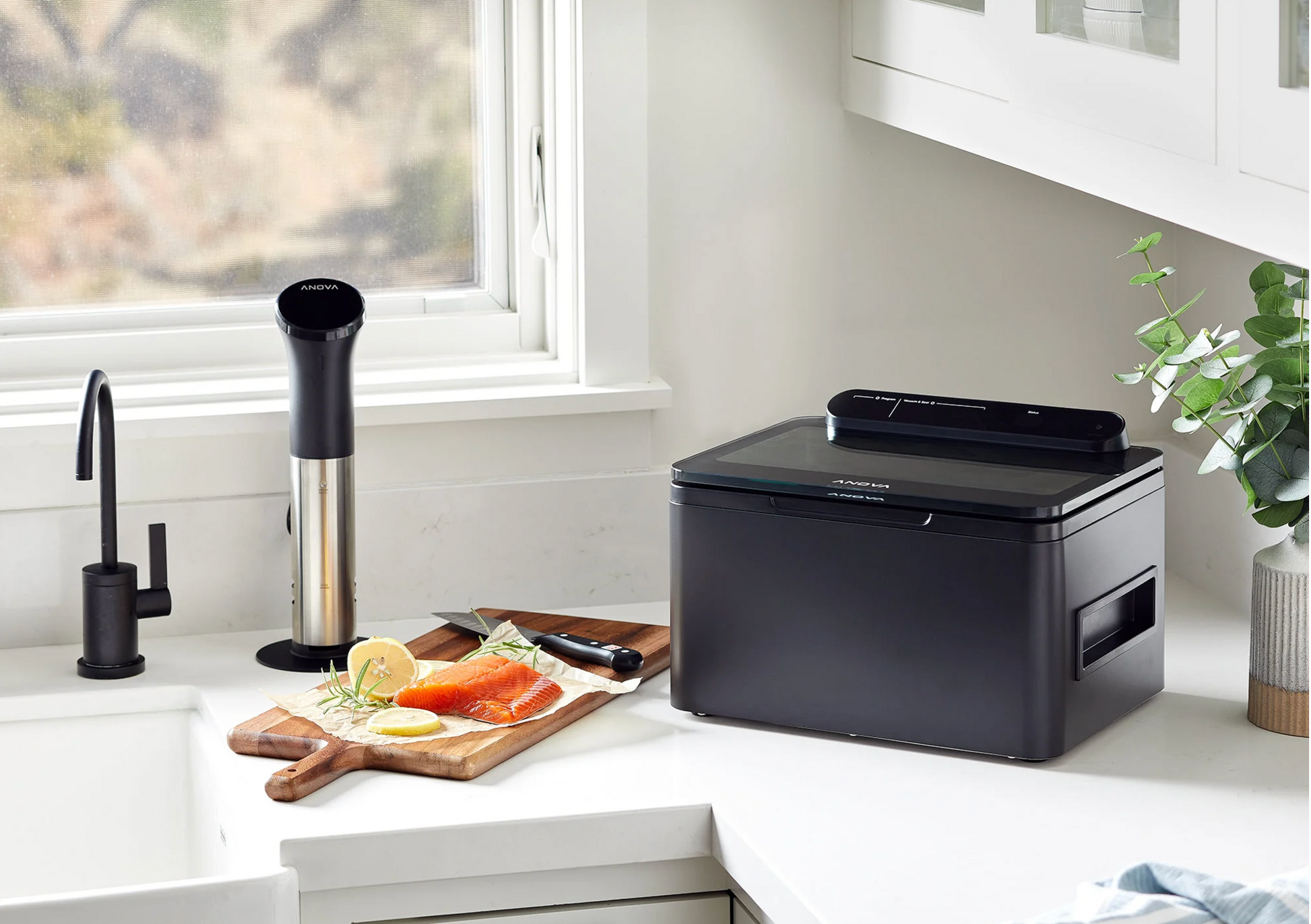 Anova Precision® Chamber Vacuum Sealer