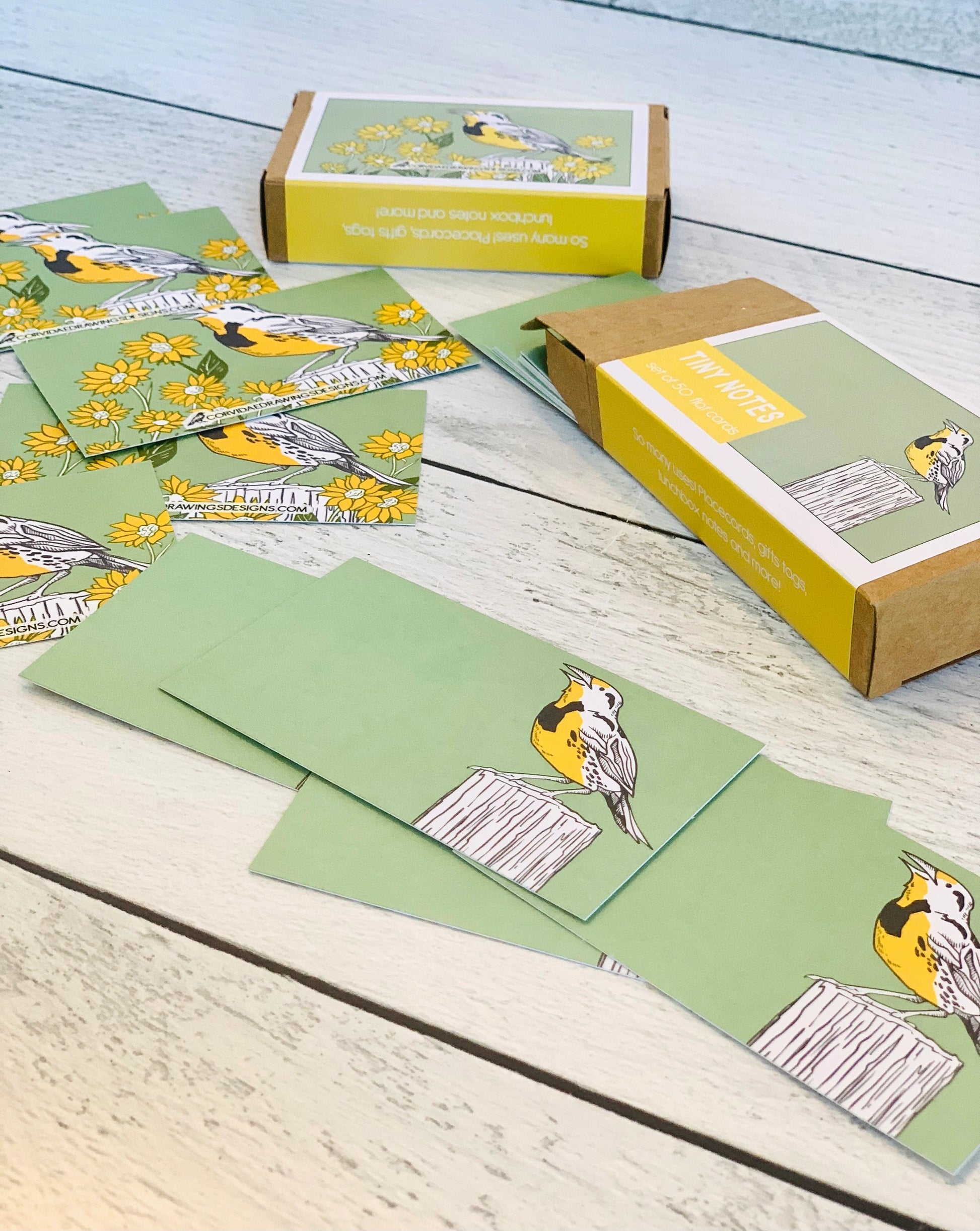 Corvidae Tiny Notes: Meadowlark