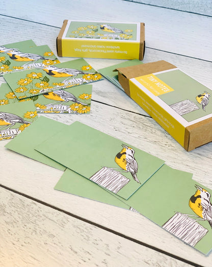 Corvidae Tiny Notes: Meadowlark