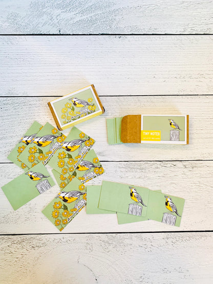 Corvidae Tiny Notes: Meadowlark