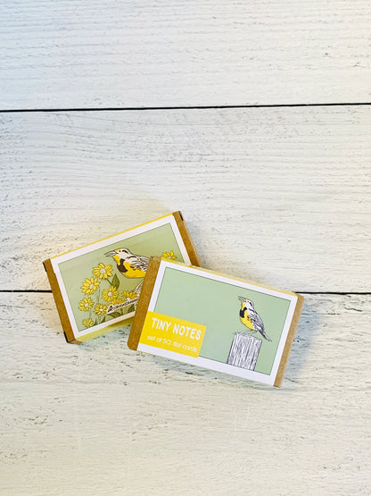 Corvidae Tiny Notes: Meadowlark