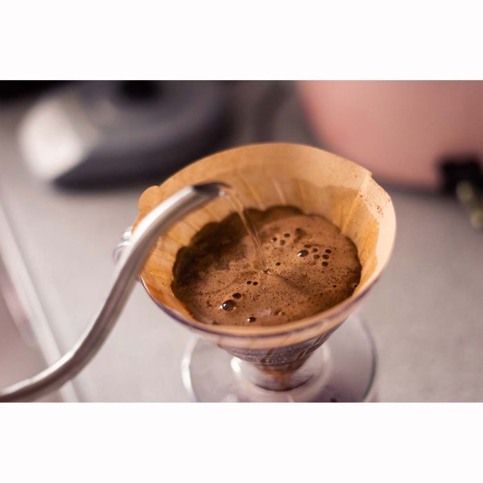 Filtropa Unbleached Coffee Filters (Set of 100): #4