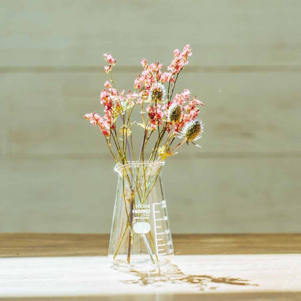 Hario Conical Beaker: 100 mL