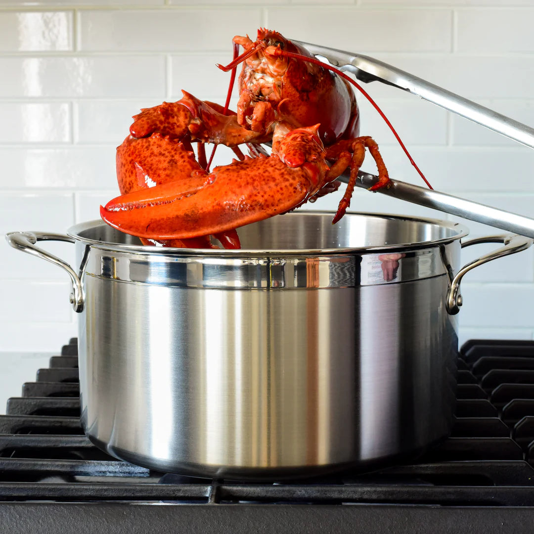 Hestan ProBond Stockpot: 8 QT