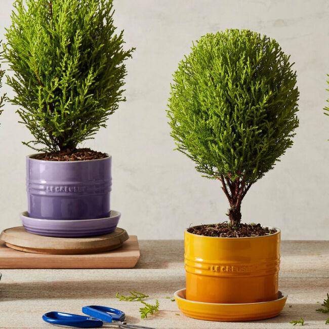 Le Creuset Herb Planter: Nectar