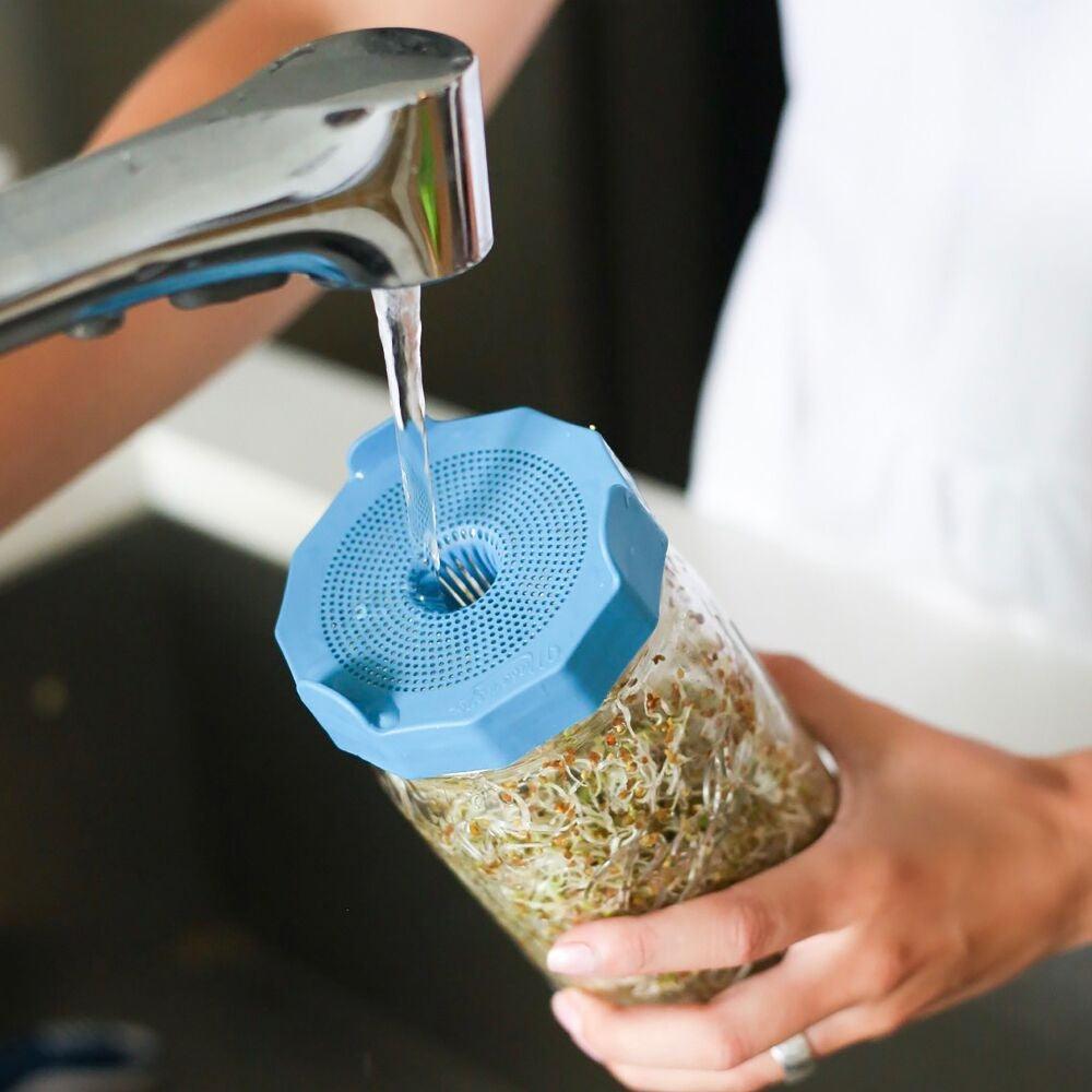 MasonTops Wide Mouth Bean Screen Sprouting Lids