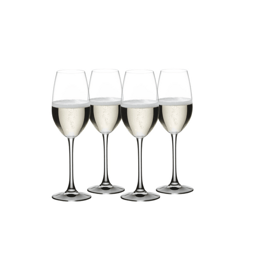 Nachtmann ViVino Wine Glasses (Set of 4): Champagne