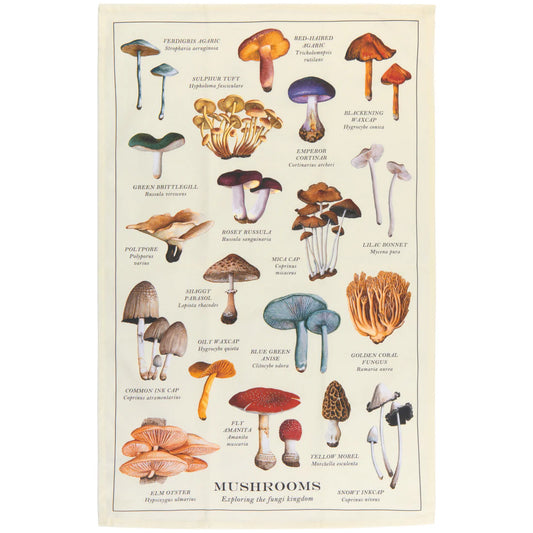 NOW Designs Dishtowel: Mushrooms Fine Print