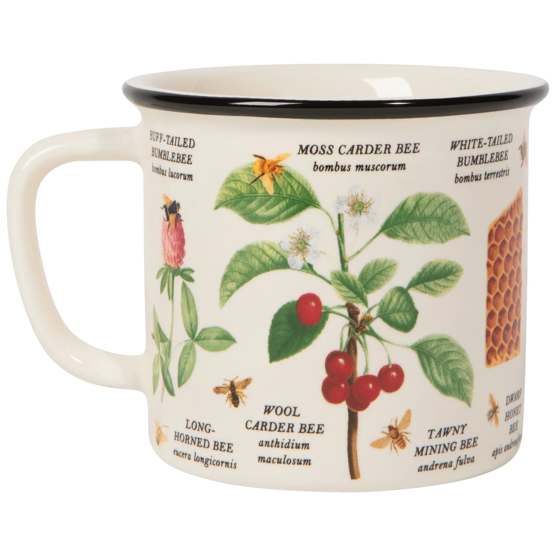 NOW Designs Mug: Bee Varieties