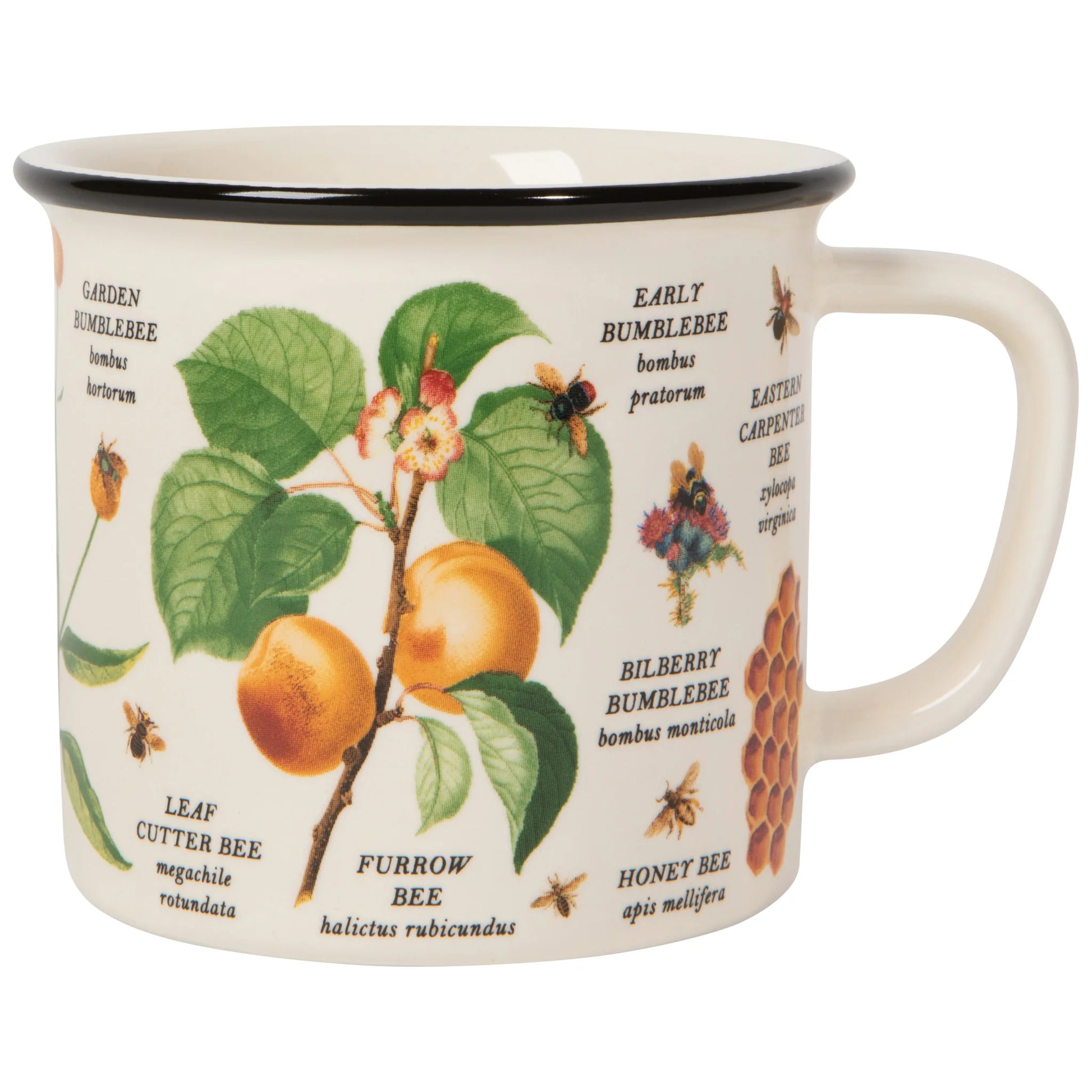 NOW Designs Mug: Bee Varieties