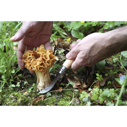 Opinel Mushroom Knife