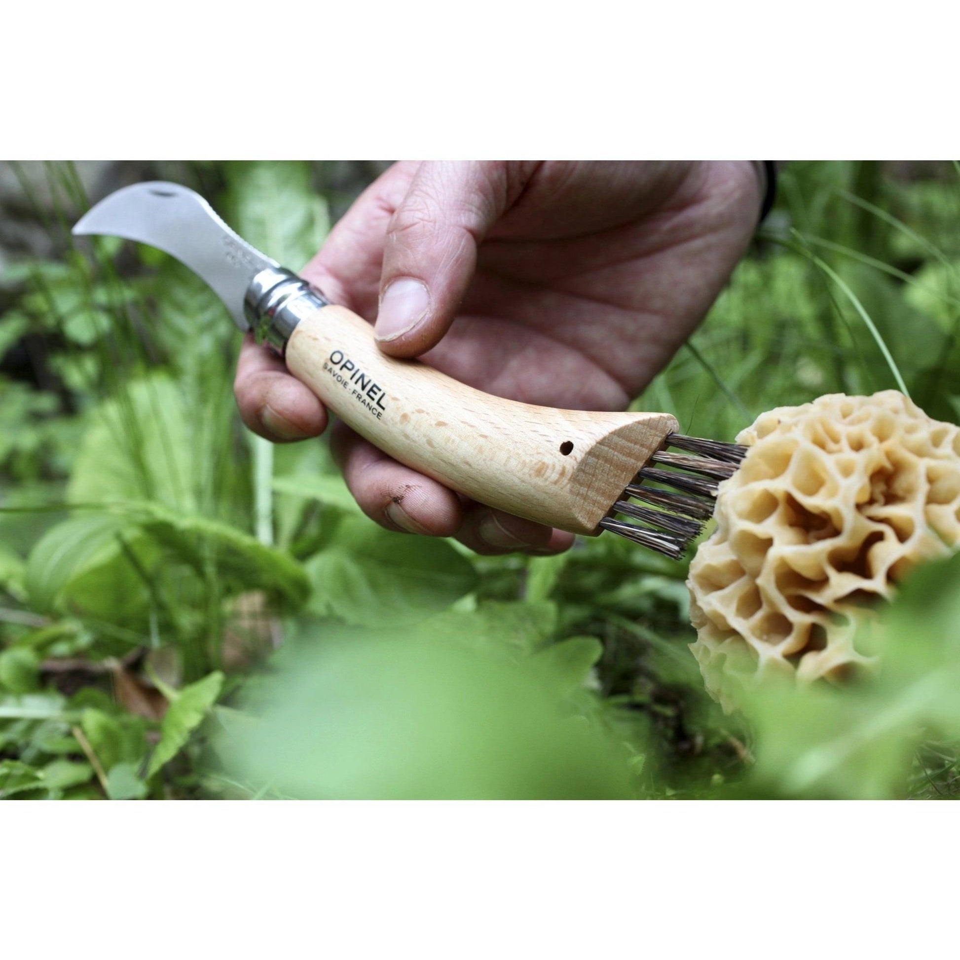 Opinel Mushroom Knife