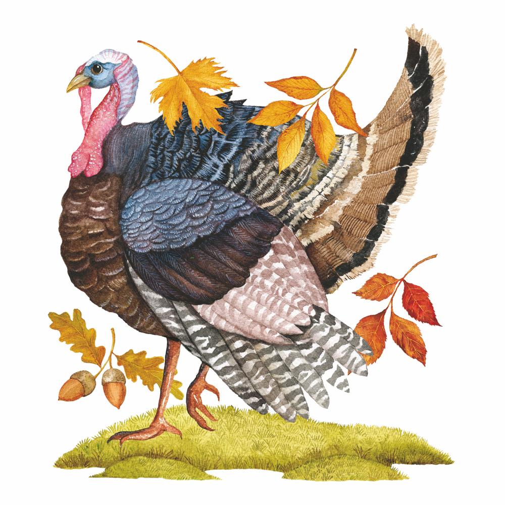 Paperproduct Designs Lunch Napkins: Gobble Gobble