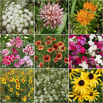 Garden Sprinkles: Butterfly Mix