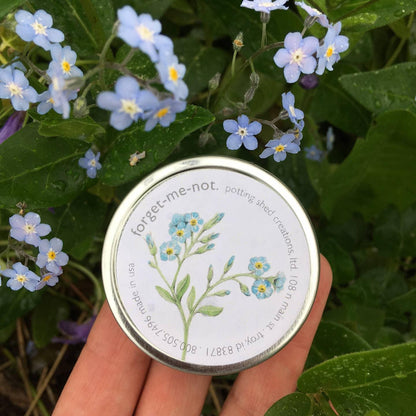 Garden Sprinkles: Forget-Me-Not