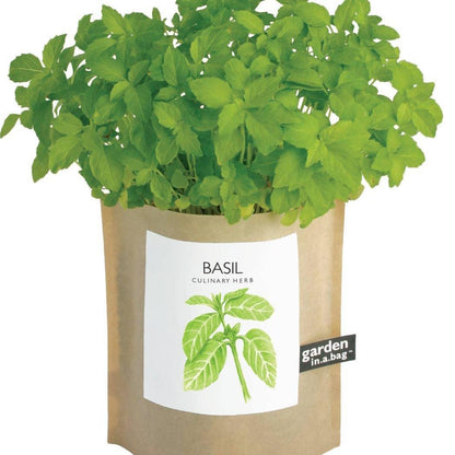 Garden in a Bag: Basil