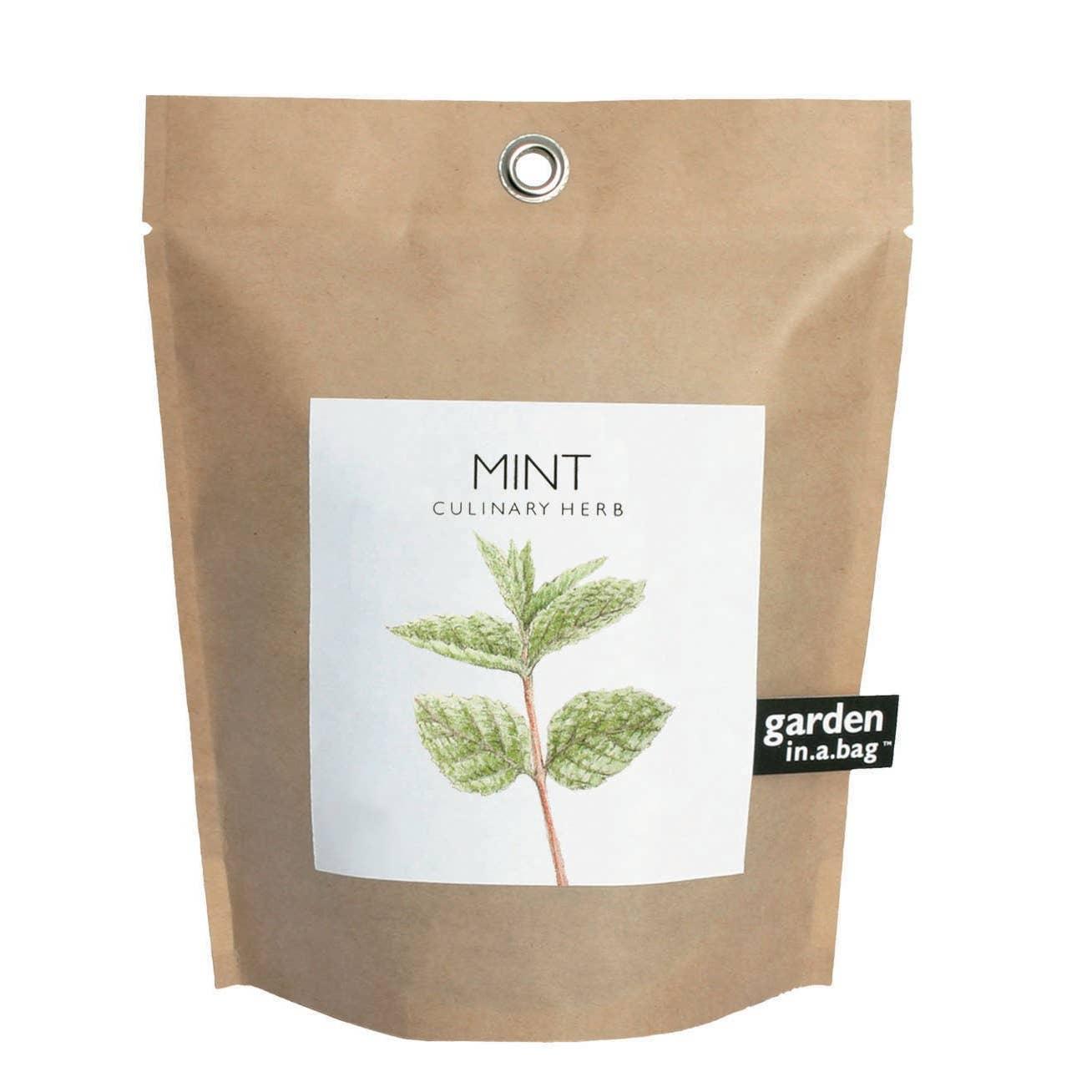 Garden in a Bag: Mint