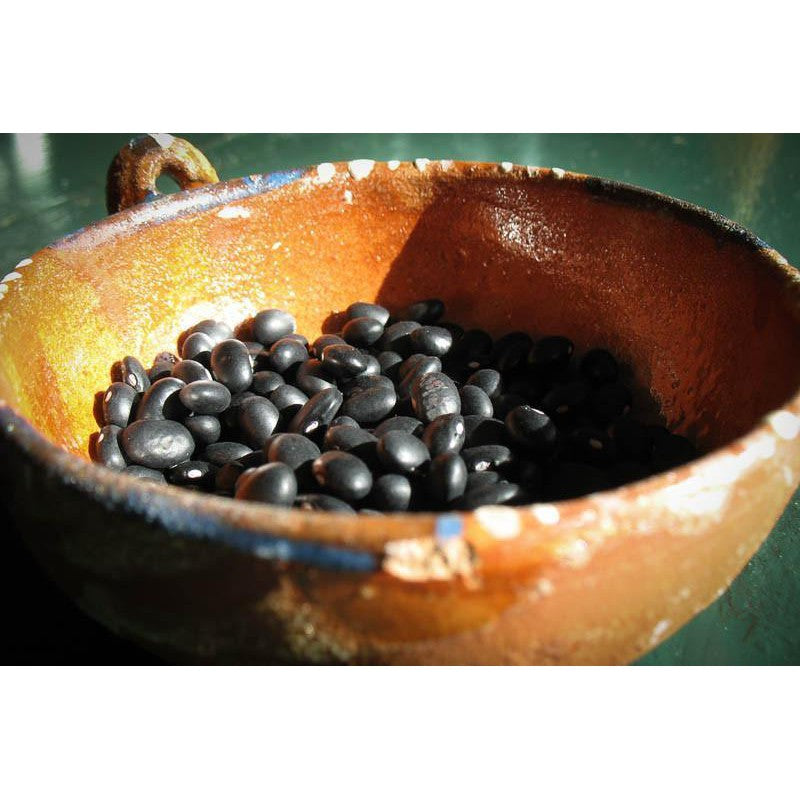 Rancho Gordo "Midnight" Black Beans, 1lb