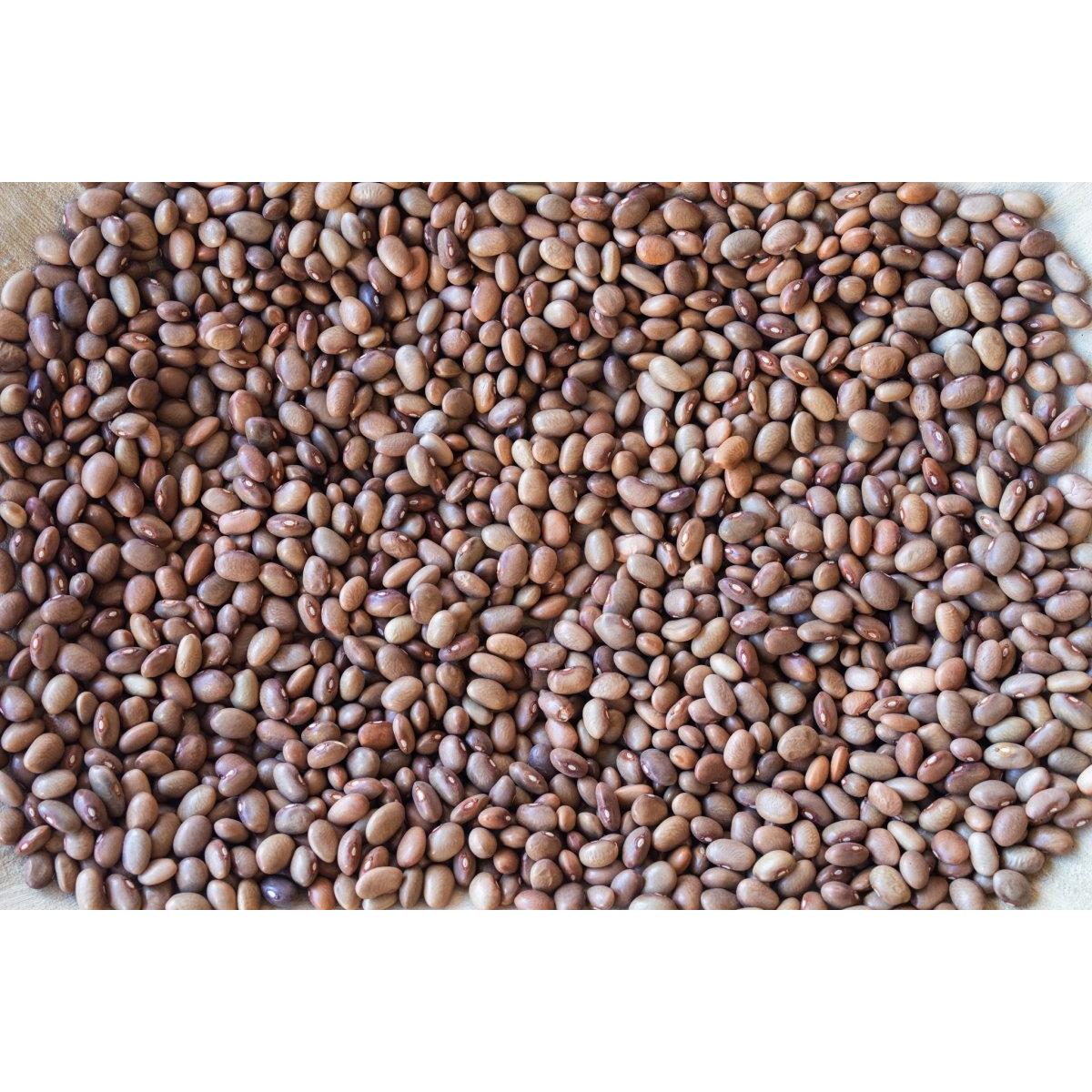 Rancho Gordo Bayo Chocolate Bean, 1lb.
