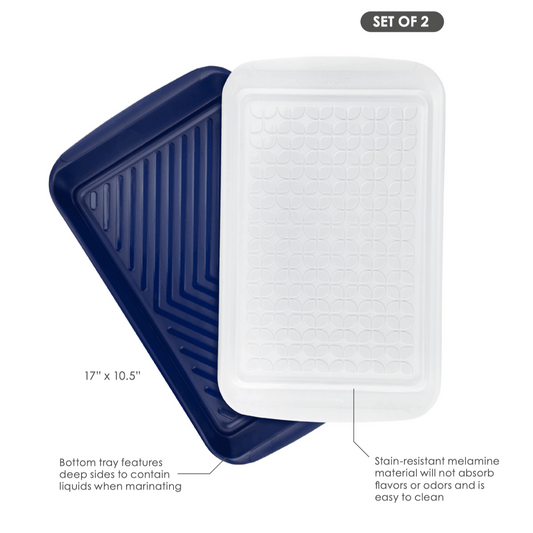 TOVOLO Prep & Serve Marinade Trays (Set of 2): Large