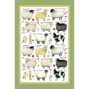 Samuel Lamont Cotton Tea Towel: Sheep Breeds