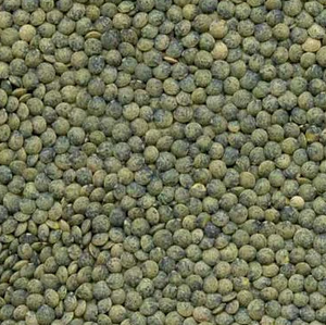 Timeless Foods French Green Lentils, 16oz
