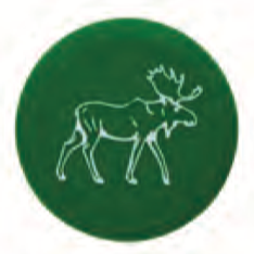 Capabunga Wine Cap: Moose