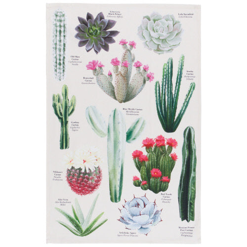 NOW Designs Dishtowel: Botanical Cacti